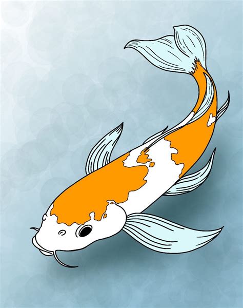 koi carp drawing